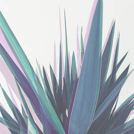 Holographic Leaves by Cassia Beck
