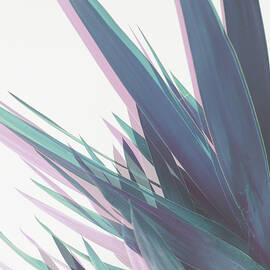 Holographic Leaves II by Cassia Beck