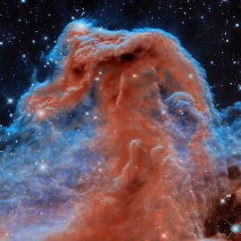Horsehead Nebula by Dale Kauzlaric