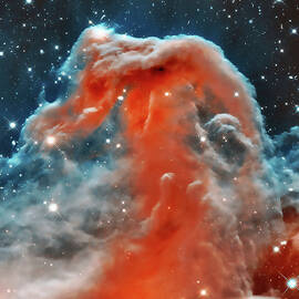 Horsehead Nebula in Stunning Detail by Stefano Senise