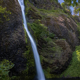 Horsetail by Matt Halvorson
