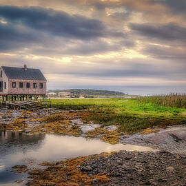 House on Stilts by Penny Polakoff
