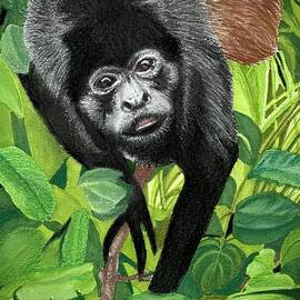 Howl You Doin by Marlene Little