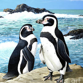 Humboldt Penguins At Ocean's Edge by Chuck Ripper