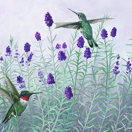 Humming Lavender by Julie Peterson
