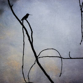 Hummingbird  by Mary Lee Dereske