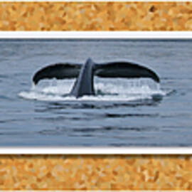 Humpback Whale Play by Barbara Siegel