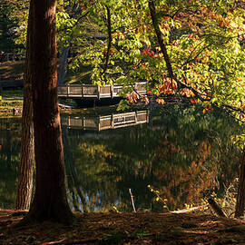 Hunsickers Grove Fall Series 04 by Jason Fink