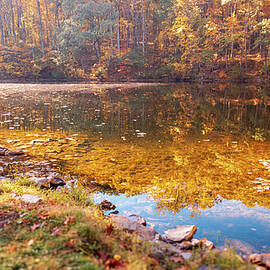 Hunsickers Grove Pond Autumn Reflections by Jason Fink