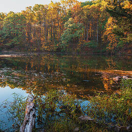 Hunsickers Grove Pondside Reflections by Jason Fink
