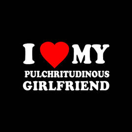 I Love My Hot Pulchritudinous Girlfriend by Flippin Sweet Gear