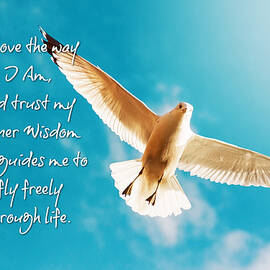 I Love the way I Am by Tatiana Travelways