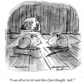 I Was All Set to Stir by Mary Lawton