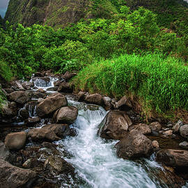 Iao Valley Stream at Sunset - Maui, Hawaii - Vertical by Abbie Matthews