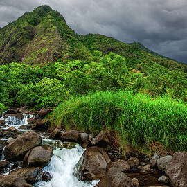 Iao Valley Stream - Maui, Hawaii by Abbie Matthews