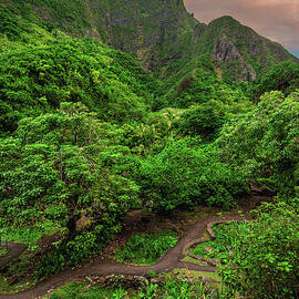 Iao Valley Sunset Paths - Maui, Hawaii - Vertical by Abbie Matthews