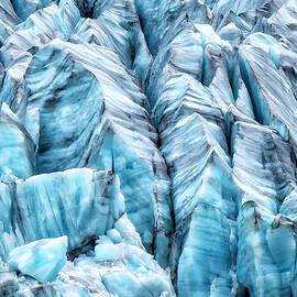 Ice Age by DEE POTTER