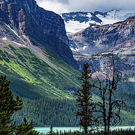 Icefield Parkway Canada by Tommy Farnsworth