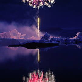 Icelandic dandelion by Christopher Mathews