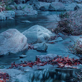 Icy Blue by Alison Frank
