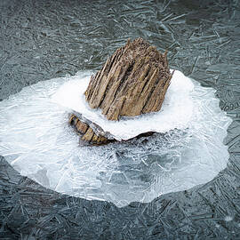 Icy Log by Dave King
