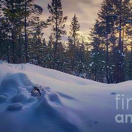 Idyllic cold by Thomas Nay