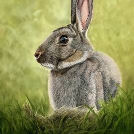 I'm All Ears by Marlene Little