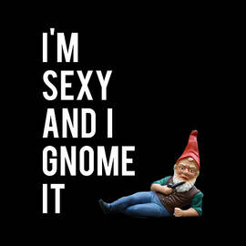 Im Sexy And I Gnome It by Flippin Sweet Gear