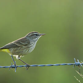 Img0024_20231023enr by RD Allen