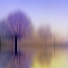 Impressions by Jessica Jenney