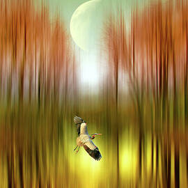 In Flight by Jessica Jenney