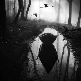 Forest poem by Sofie Conte