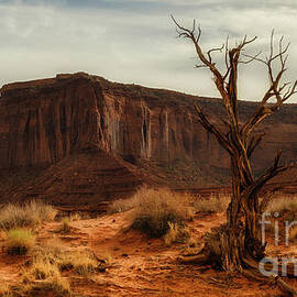 In the Shadow of Monuments by Dodie Ross