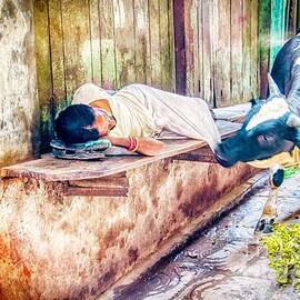 Indian Streets - Holy Cow and People in India by Stefano Senise