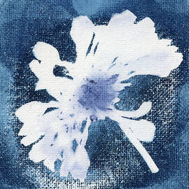 Indigo Zinnia Head by Elizabeth Reich