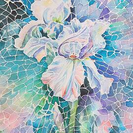 Indra's Iris by Amanda Amend