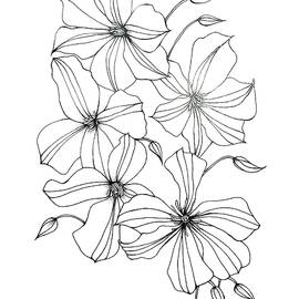 Ingenuity by Catherine Bede