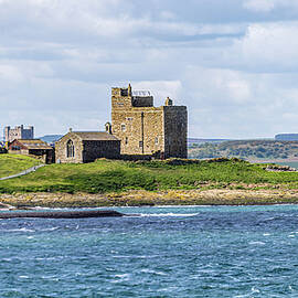 Inner Farne Island #2  by Shirley Mitchell