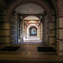 Inside the Walkway Rice University by Mary Lee Dereske
