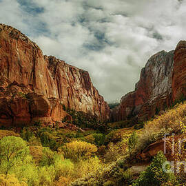 Into Kolob Canyon by Dodie Ross
