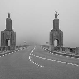 Into the Fog by Mike Lee