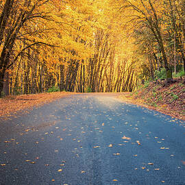 Into the Glow by Mike Lee