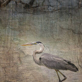 Into the Marsh - 2 by Maryanne Keeling