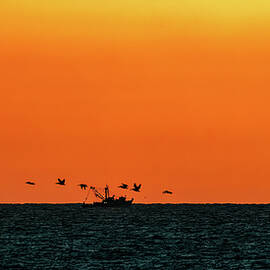 Into the Sunset Mazatlan Mexico by Tommy Farnsworth