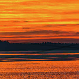 Into the Sunset Puget Sound Washington by Tommy Farnsworth