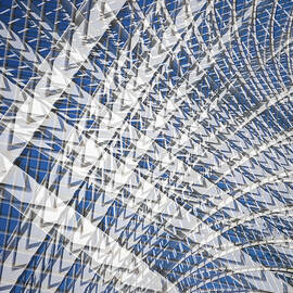 Intricate Canopy of Umbracle by Elvira Peretsman