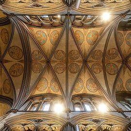 Intricate Cathedral Ceiling  by Shirley Mitchell
