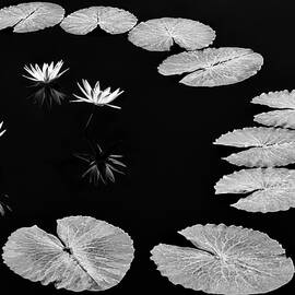 Invisible Connection by Elvira Peretsman