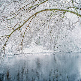 Isinglass Winter by Jeff Sinon