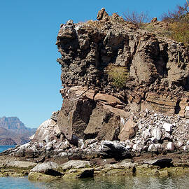 Isla Coronado Cliffs by William Scott Koenig